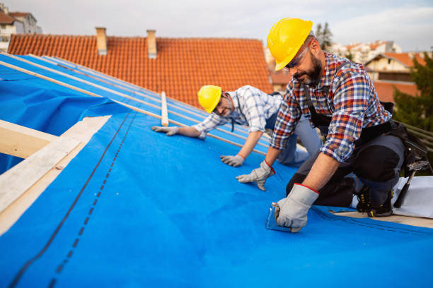 Best Roof Moss and Algae Removal  in Edgerton, WI